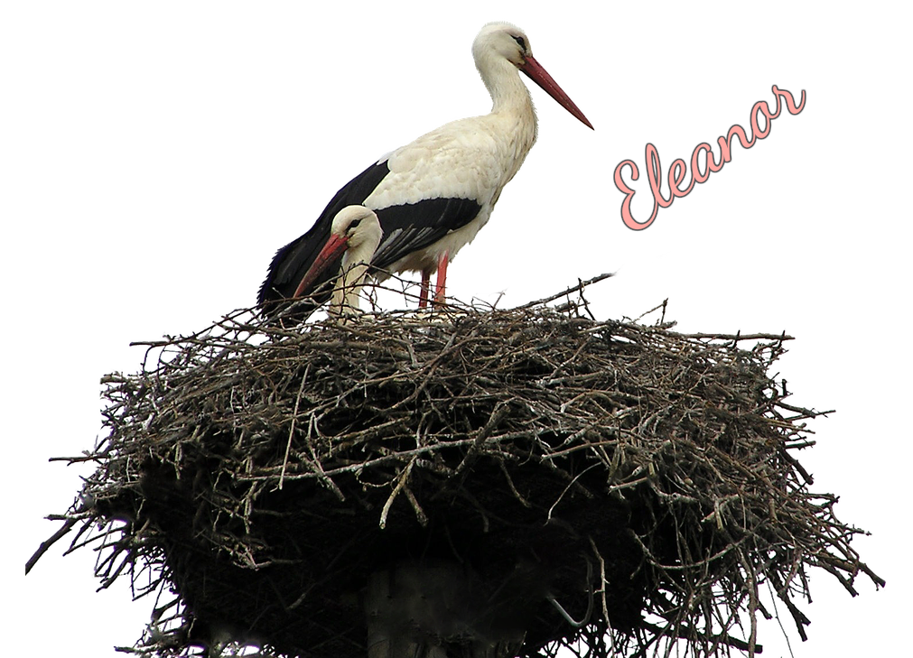 EAW-image Eleanor: Etymology & Historical Origin