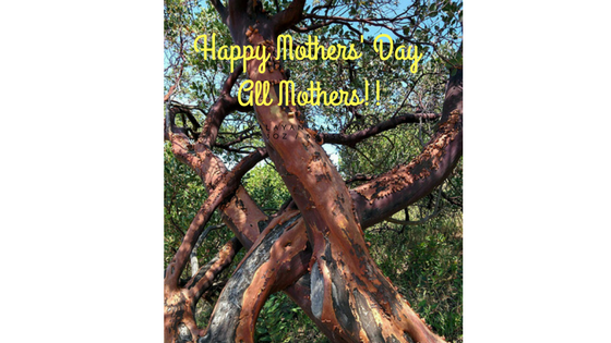 happy mothers' day